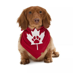 HOTEL DOGGY "Canada Day" Maple Leaf & Paw Jersey Bandana