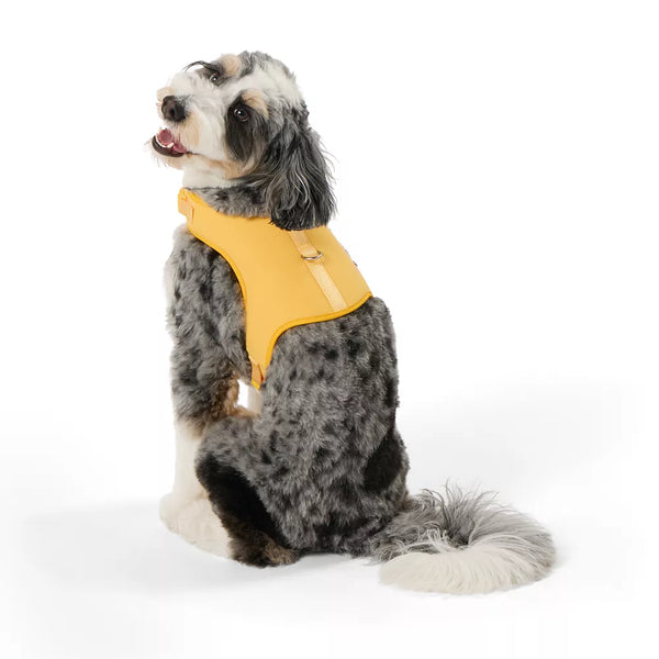 Top Paw® DIY Customizable Dog Harness