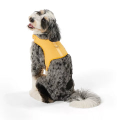 Top Paw® DIY Customizable Dog Harness