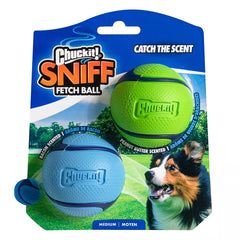 Chuckit!® Sniff Fetch Balls Dog Toy