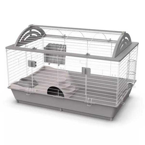 Full Cheeks® Start-Up Dream Home