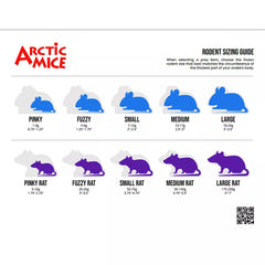 Arctic Mice Pinky Mouse