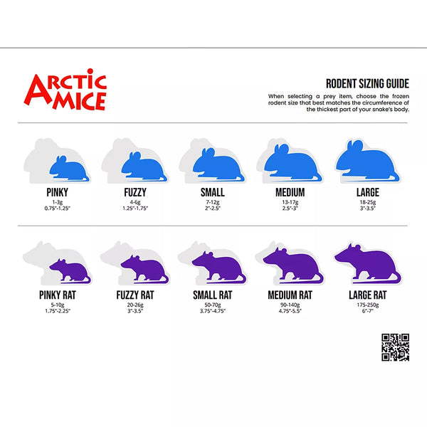 Arctic Mice Small Mouse