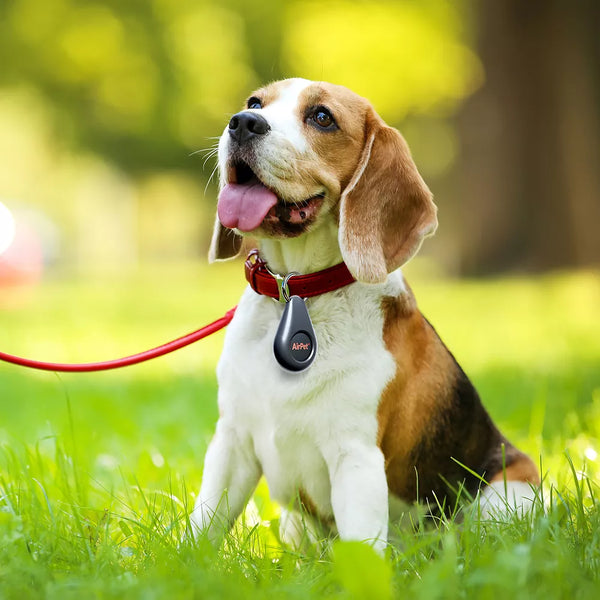 Airpet Locator Tag w/Key Chain