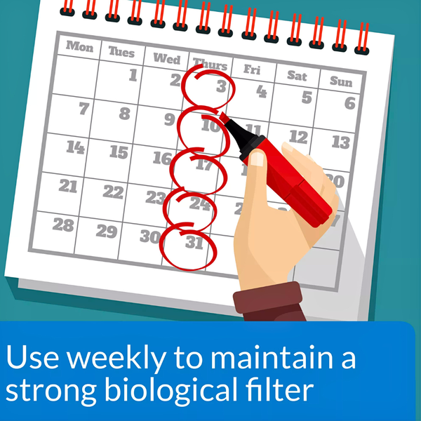 API Stress Zyme – Aquarium Bacteria Stress Relief Formula