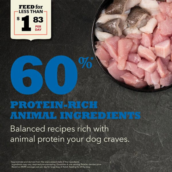 Acana Adult Dry Dog Food Premium Nutrition for Healthy, Active Dogs