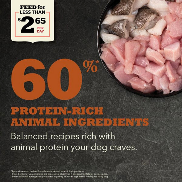 Acana Large Breed Dog Food Balanced Nutrition for Large and Strong Dogs