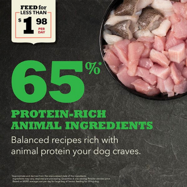 Acana Senior Dog Food Premium Nutrition for Aging Dogs with Real Meat