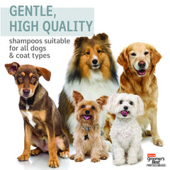 All-in-One Dog Shampoo Hartz Groomer’s Best for Healthy, Shiny Fur
