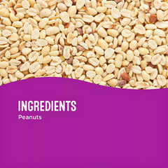 All Living Things Bird Nuts – Shelled Peanuts for Parrots & Birds