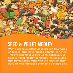 All Living Things Conure & Lovebird Food – Complete Daily Nutrition