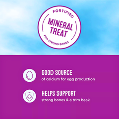 All Living Things Mineral Block Beak Trimming & Health