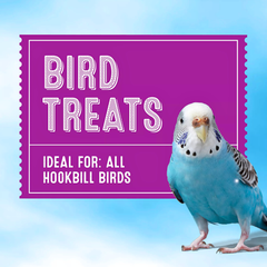 All Living Things Shelled Peanuts – Premium Bird Treats