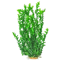 Aquatop Green Fish Tank Plant