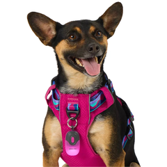 Arcadia Trail® Clamp LED Flashlight Accessory