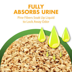 Arm & Hammer Feline Pine Non-Clumping Pine Pellet Cat Litter, 9.07kg Effective