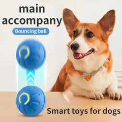 Automatic USB Pet Toy Ball