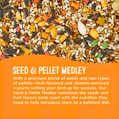 Balanced Parrot Diet – All Living Things Food for Birds