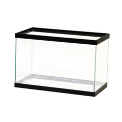 Best Aqueon Rectangle Glass Aquarium – Clean & Clear Views