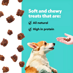 Best Dog Treats in the USA – Wiggles Wags Poppers, No Fillers!