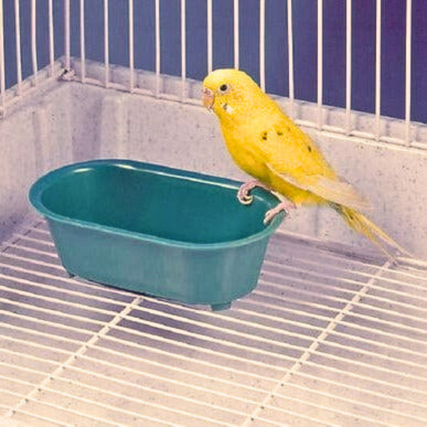 Bird Life Mirrored Bird Bath, Ideal for Cages and Easy to Install