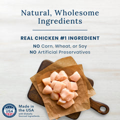 Blue Buffalo Natural Dog Snack: Soft, Tasty, and Easy to Chew