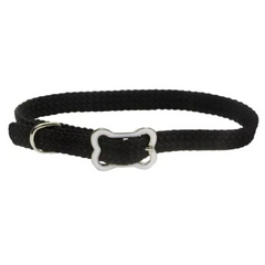 Bone Buckle Sunburst Dog Collar – Grow-With-Me Adjustable Design