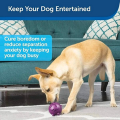 Busy Buddy Animals Treat-Toy – Fun Bouncy Shape & Random Treat Release