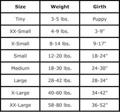 Calgary Flames All Star NHL Hooded Shirt Description