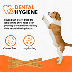 Canine Naturals Hide Free – Tasty Beef Sticks for Happy Dogs