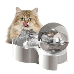 Cats and Dogs Bowl
