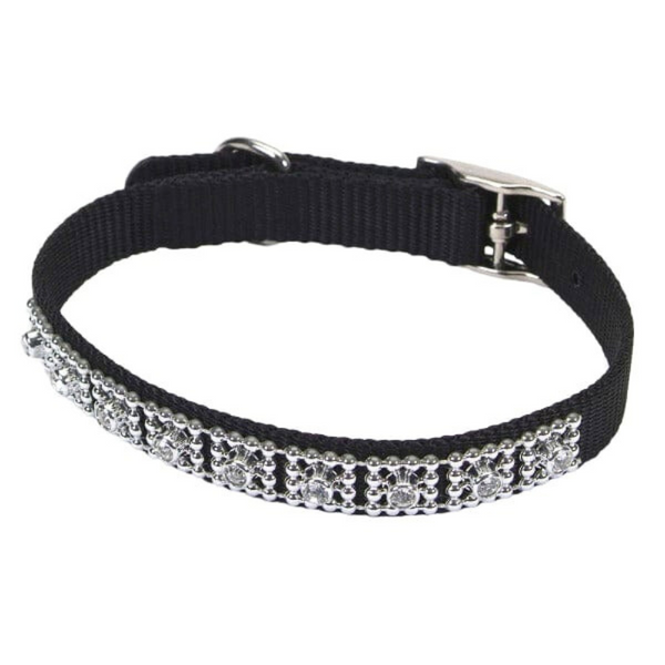 Coastal Jewelled Dog Collar