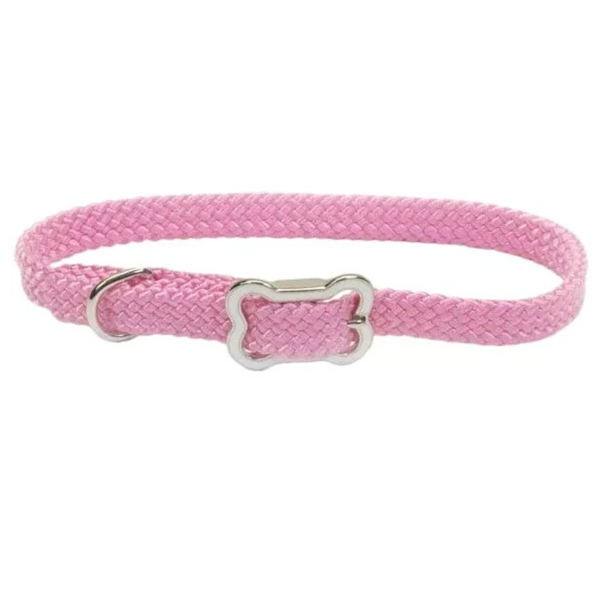 Coastal Sunburst Dog Collar with Bone Buckle