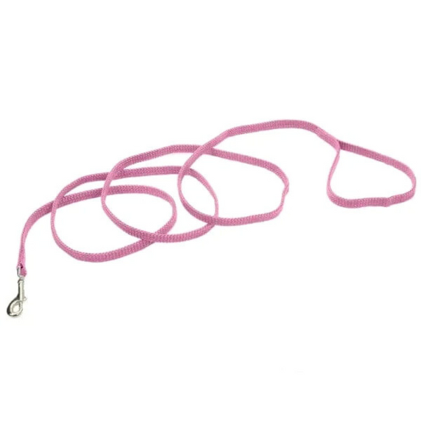 Coastal Sunburst Dog Leash – Stylish & Durable Pet Lead