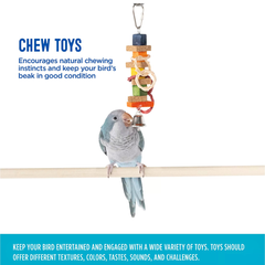 Cork Stacks Toy for Small Birds Encourages Foraging