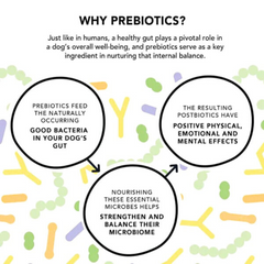 Crumps’ Naturals Happy Bites – Relaxation & Gut Health Treats