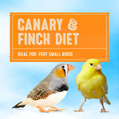 Daily Bird Food for Finches & Canaries – All Living Things