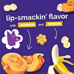 Delicious Baked Pumpkin & Banana Treats for Dogs – Fruitables Premium