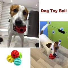 Dog treat ball