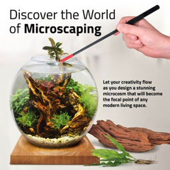 Elegant Teak Fluval Lív 6L Aquarium for Betta & Shrimp