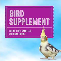 Essential Bird Calcium Block for Bone & Beak Health