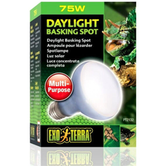Exo Terra Daylight Spot Bulb for Reptiles – Warm & Natural Light