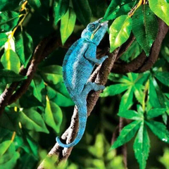 Exo Terra Jungle Vines for Reptiles – Natural Climbing Habitat Decor