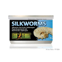 Exo Terra Silkworms Canned Specialty Reptile Food