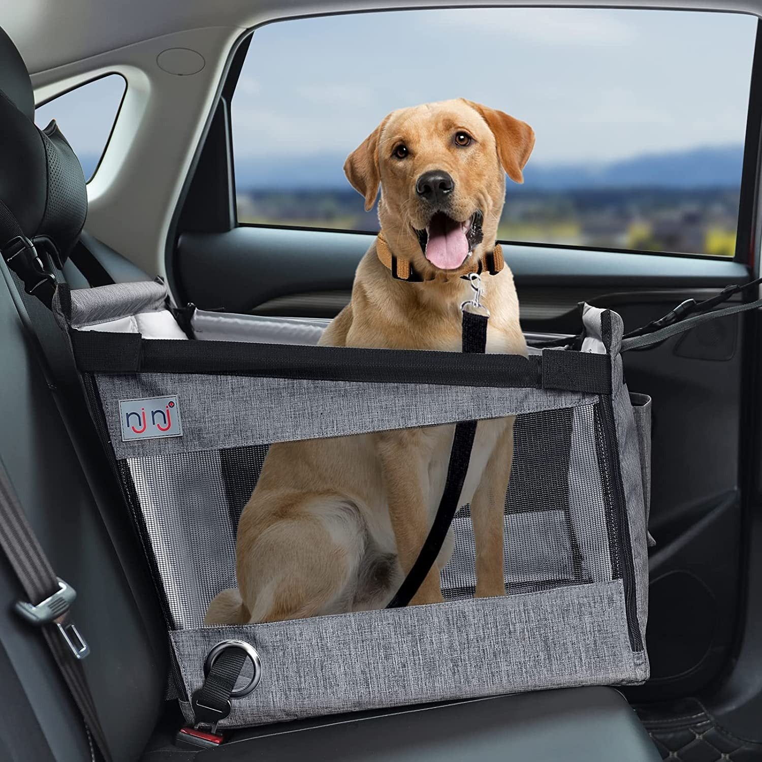 Removable Dog Travel Pad