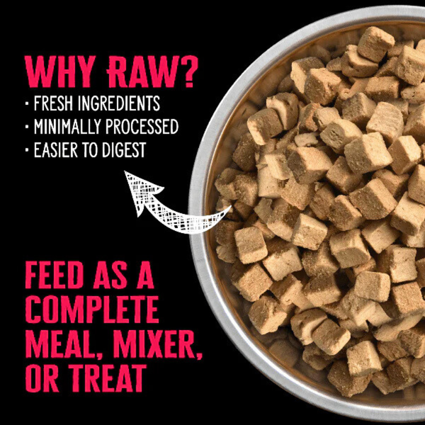 Freeze-Dried Raw Beef & Pumpkin Dog Food – Nutrience SubZero