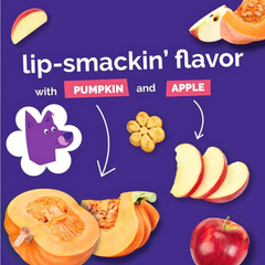 Fruitables Baked Pumpkin & Apple Dog Treats – Healthy Crunch for Your Pup