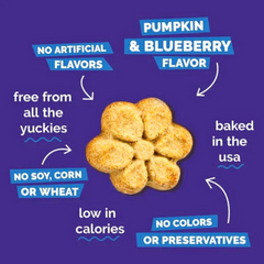 Fruitables Blueberry & Pumpkin Dog Snacks – Wholesome Daily Treats