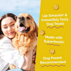 Fruitables Pumpkin Banana Dog Treats – Low Calorie & Nutritious Snacks