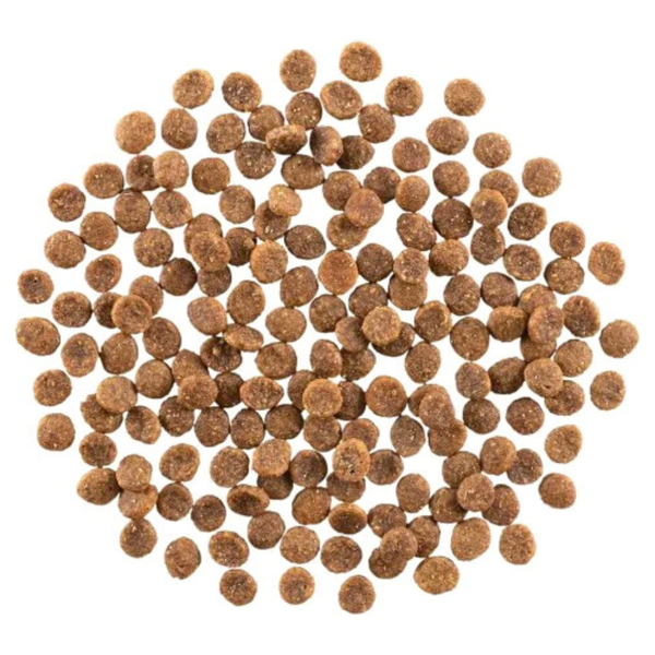 Go! Solutions Hairball Control + Urinary Care Cat Food – Chicken Recipe with Grains